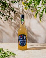 Infusion pétillante Détox - 12 x 33cL