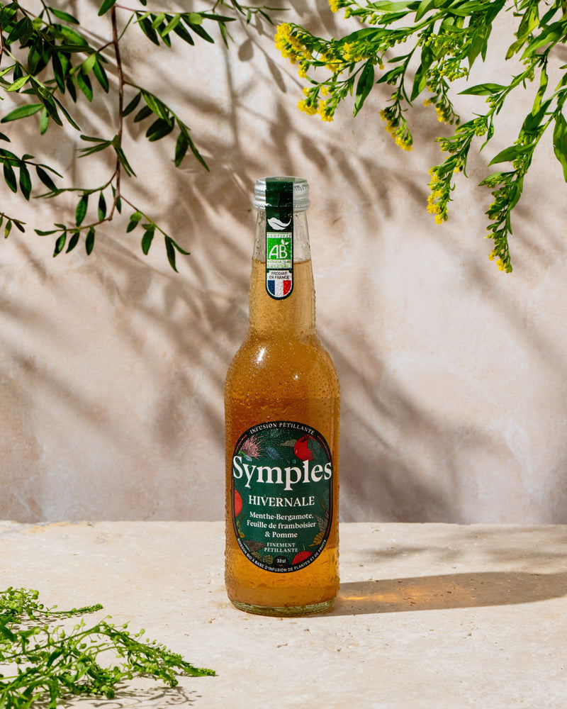 Hivernale édition limitée - 12 x 33cL