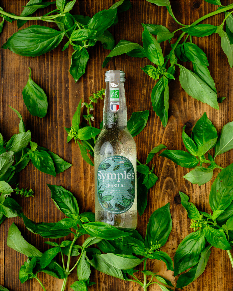 Infusion pétillante Basilic - 6 x 33cL