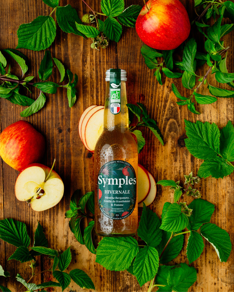 Hivernale édition limitée - 6 x 33cL